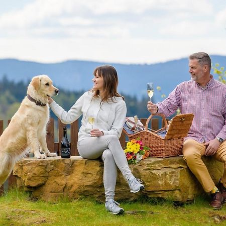 Wellness Apartmány Martiňák Horní Bečva Kültér fotó